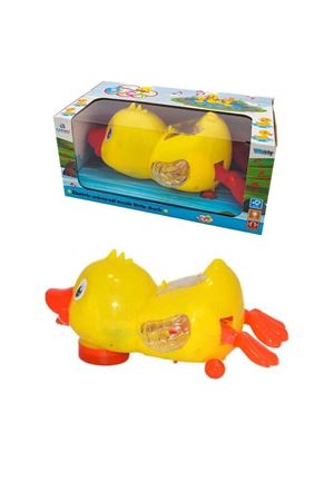 KT. PİLLİ SÜRÜNEN ÖRDEK 