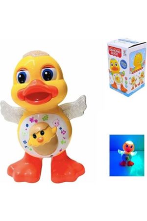 KUTUDA PİLLİ DANSÇI OYNAYAN ÖRDEK 