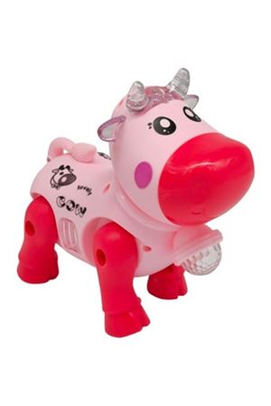 POŞ. PİLLİ HAYVANLAR 