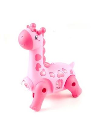 POŞ. PİLLİ HAYVANLAR 