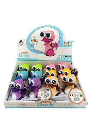 KURMALI İRİGÖZ ÖRDEK