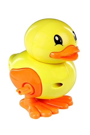 KURMALIGİLLER CİVCİV