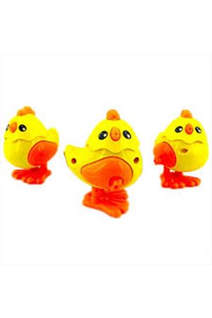 KURMALIGİLLER ÖRDEK 