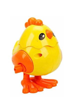 KURMALIGİLLER ÖRDEK 