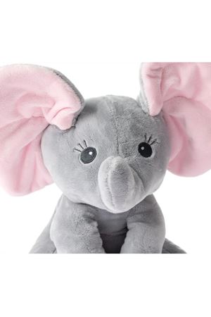 KUTUDA CEE-EE JUMPI FİLL