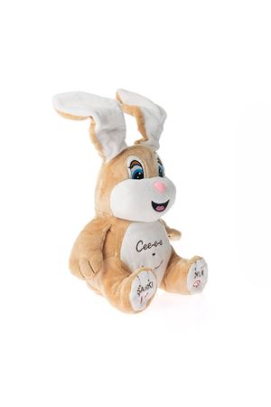 KUTUDA CECE TAVŞANCIK