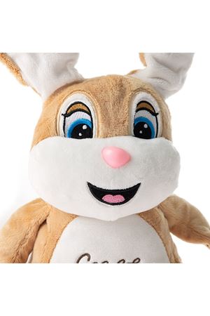 KUTUDA CECE TAVŞANCIK