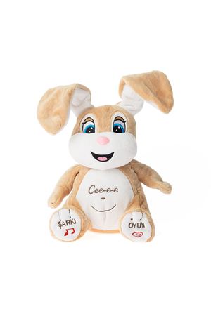 KUTUDA CECE TAVŞANCIK