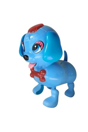 POŞ. PİLLİ HAYVANLAR 