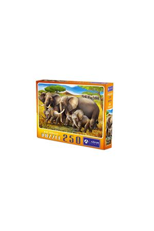 250 PARÇA PUZZLE KARIŞIK 