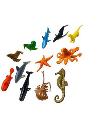 PVS DENİZ HAYVANLAR 