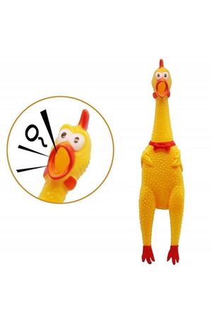 FİLEDE KÜÇÜK SESLİ HOROZ 