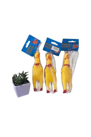 FİLEDE KÜÇÜK SESLİ HOROZ 