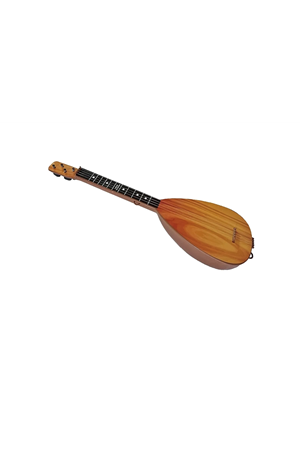 POŞŞETE SAZ BAĞLAMA 