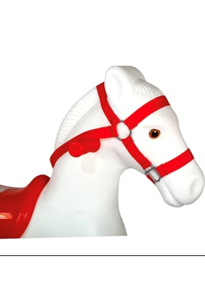 PVS DE BÜYÜK SALLANAN AT