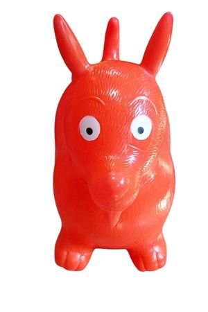 PVS DE ŞİŞME HAYVAN 