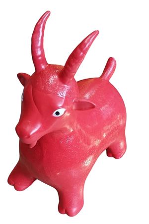 PVS DE ŞİŞME HAYVAN 